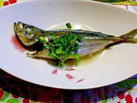 Wilpc1l8sgddgm Wilpc1l8sgddgm